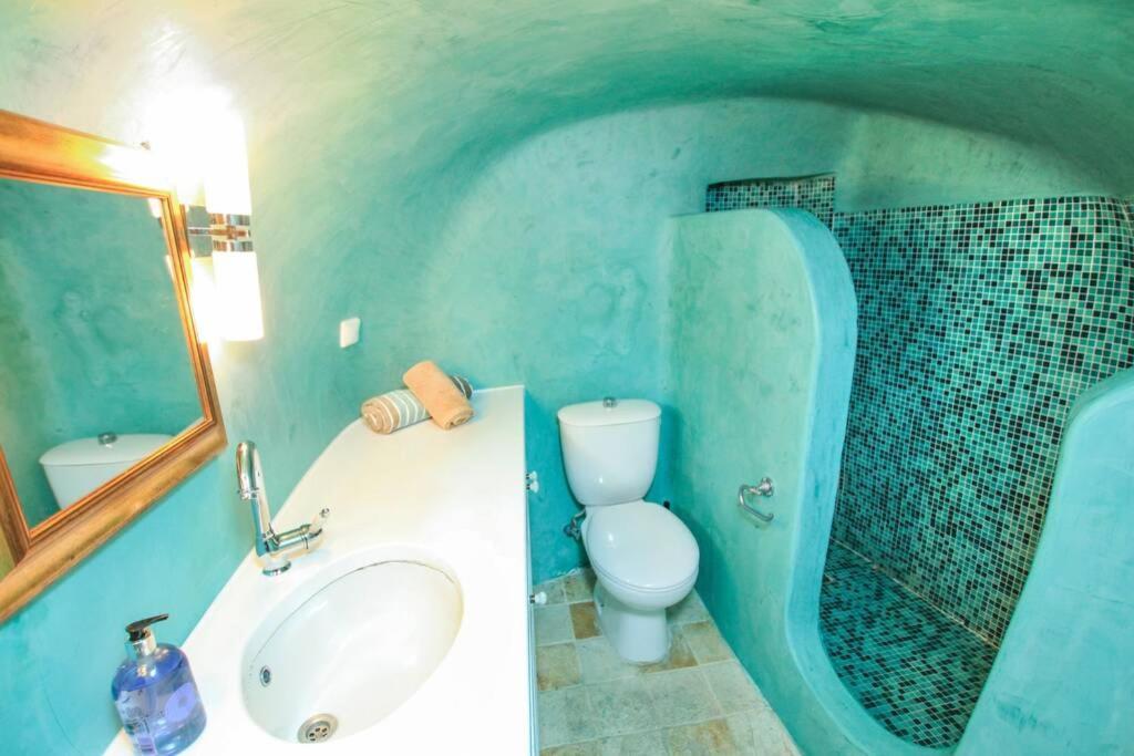 Villa Dionyssos Cave House à Oia  Extérieur photo
